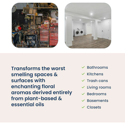 Truly Free Lemongrass Space Freshener Starter Kit