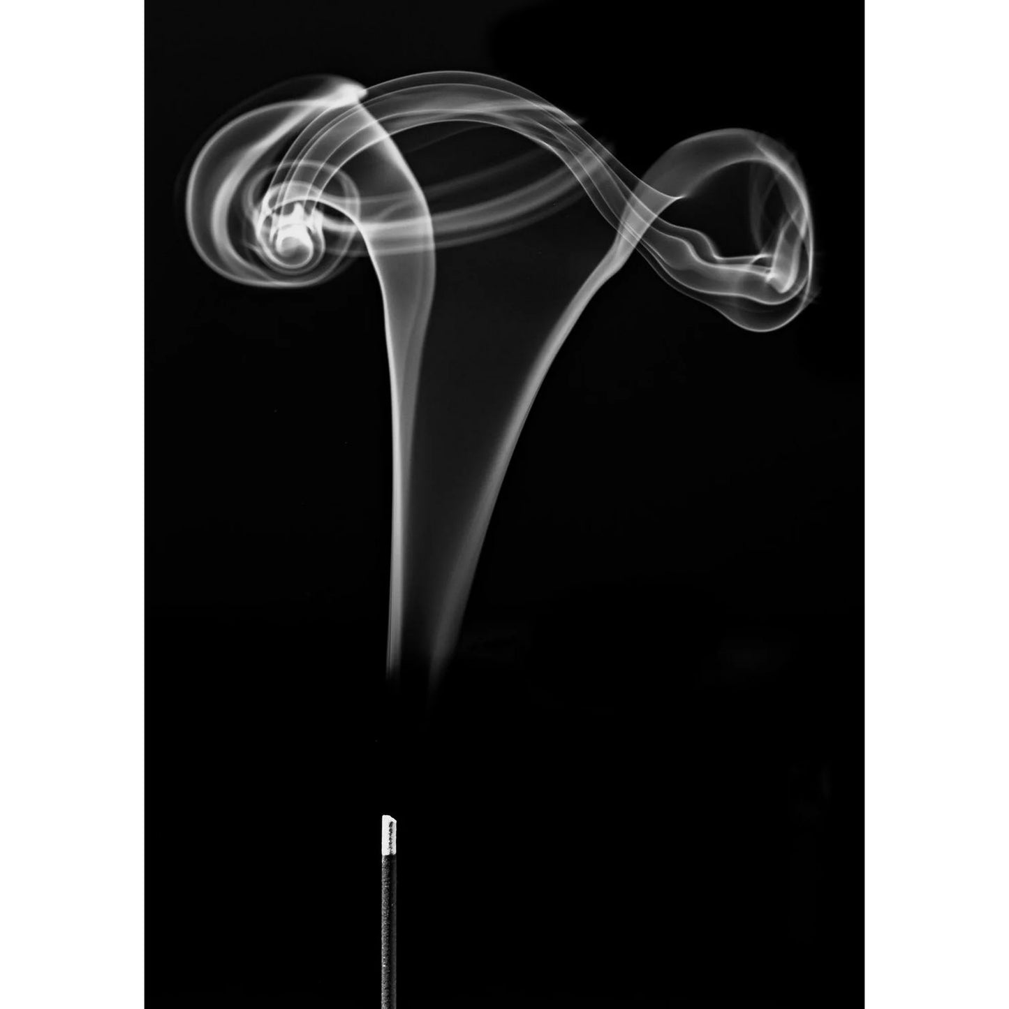 Genieco Lavender Incense Sticks